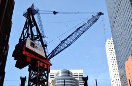 crane1.jpg